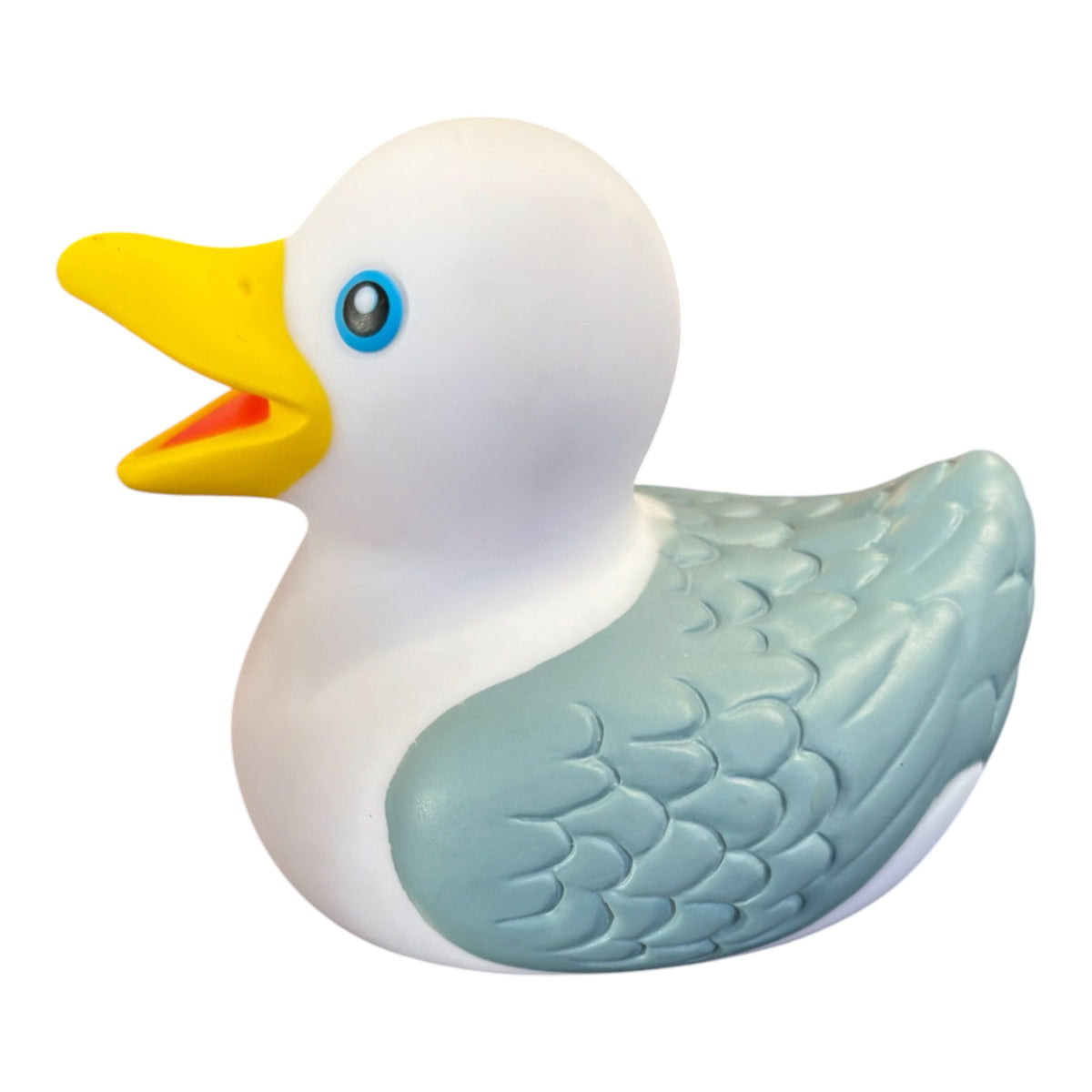 Personalised name/town seagull duck bold print