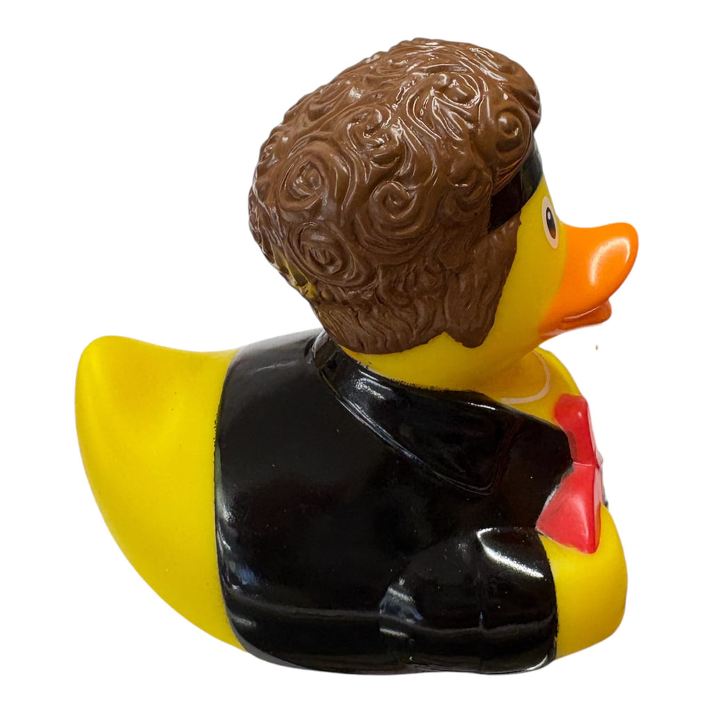 Rock star duck