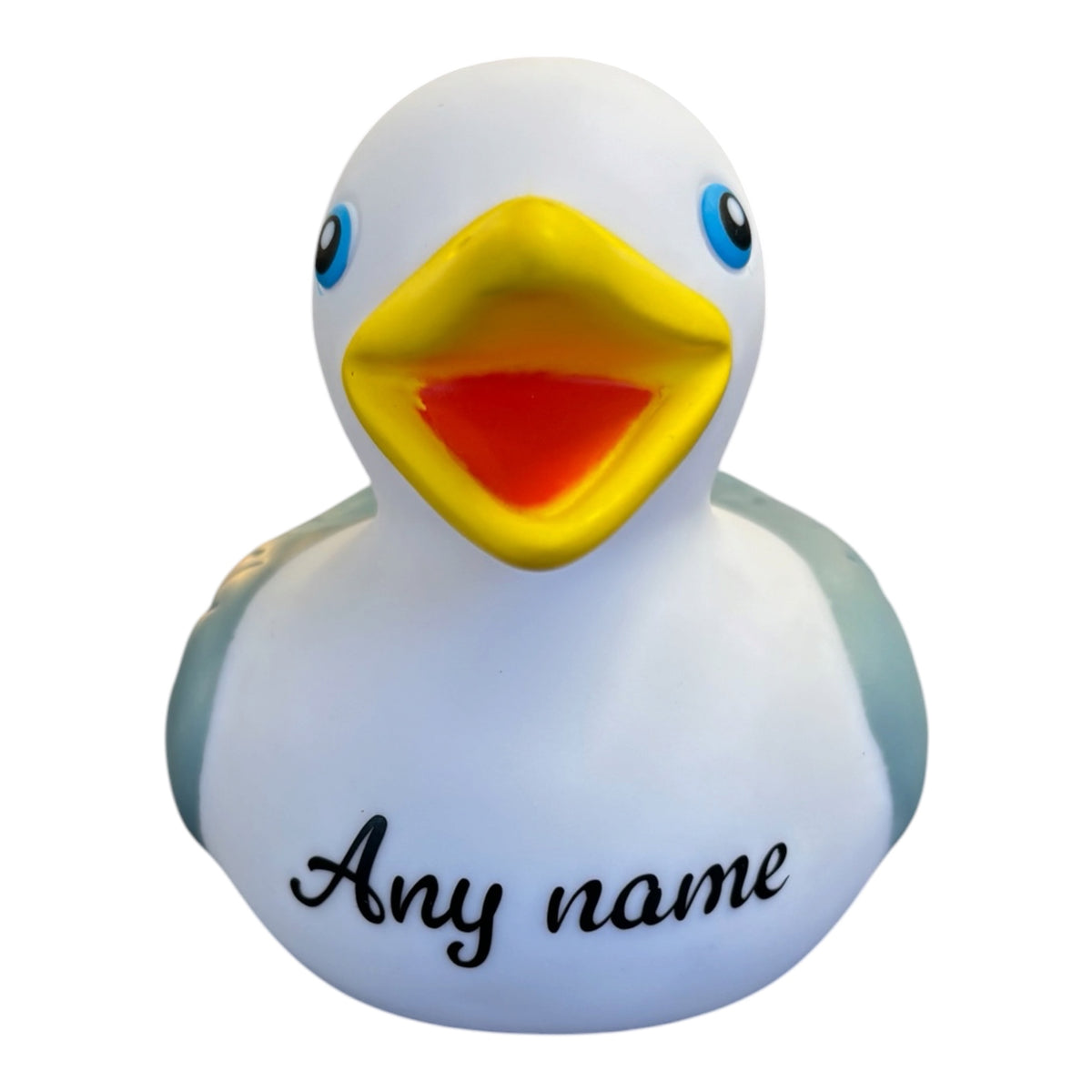 Personalised name/town seagull duck decorative writing