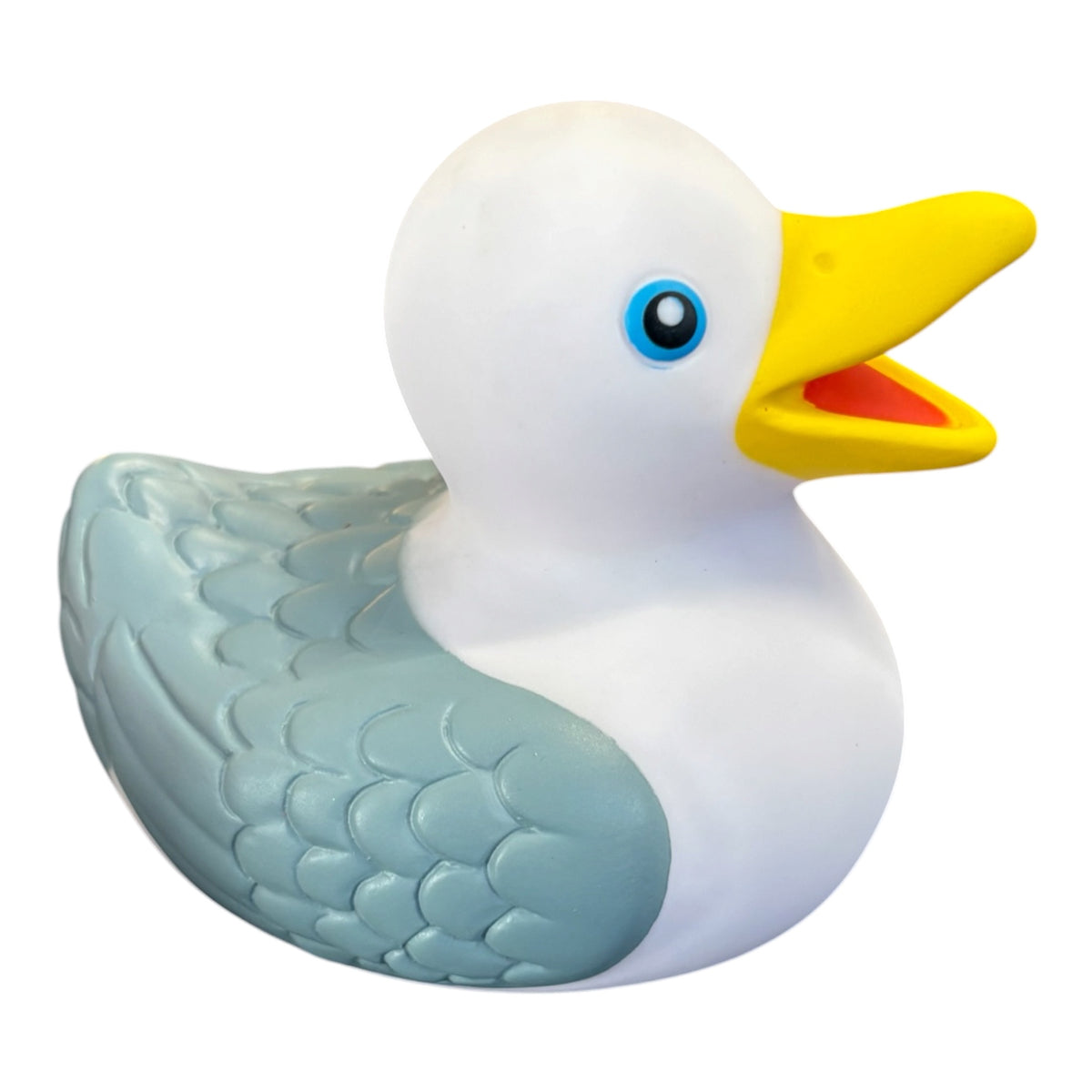 Personalised name/town seagull duck bold print