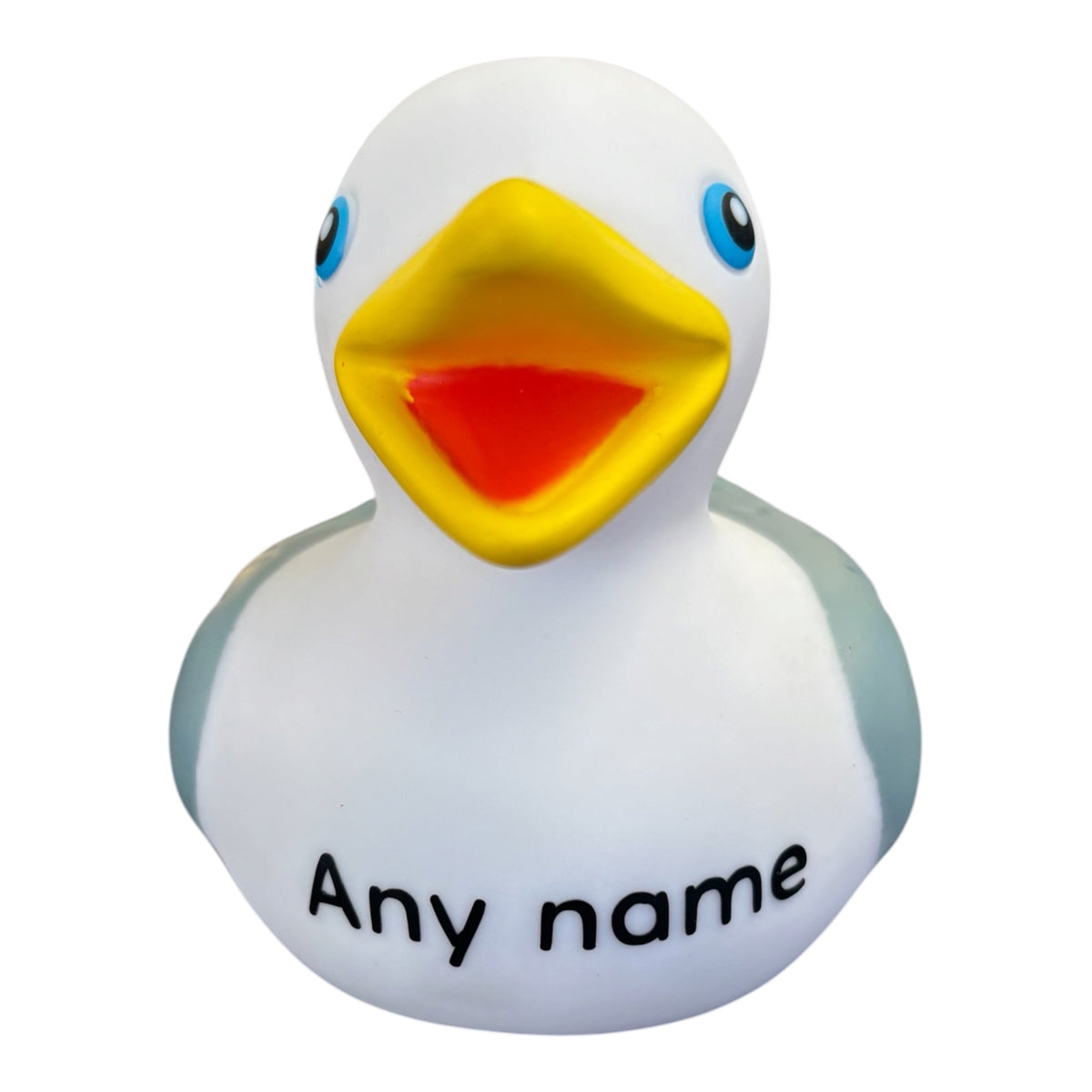 Personalised name/town seagull duck bold print