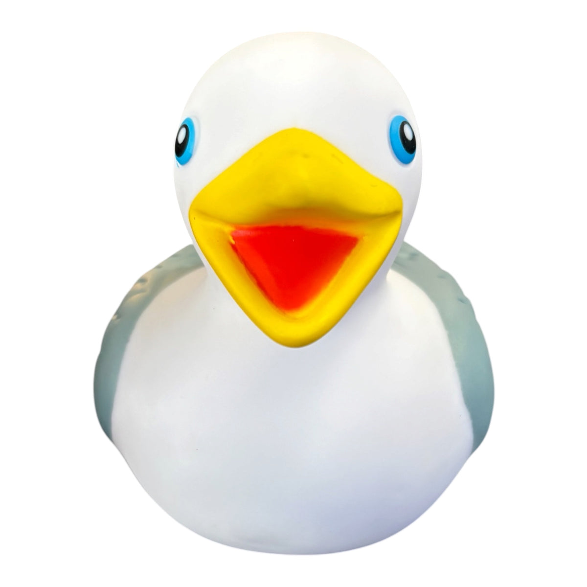 Personalised name/town seagull duck bold print