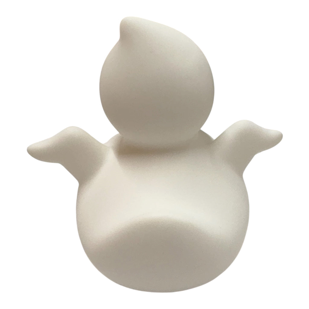 Ghost Duck