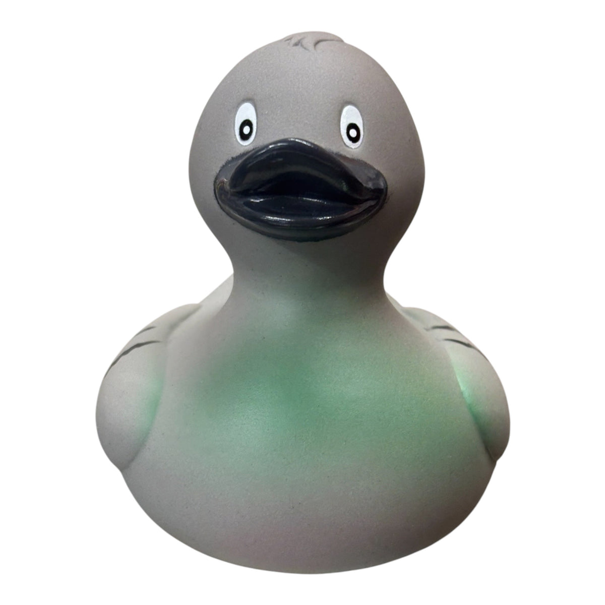Pigeon Duck