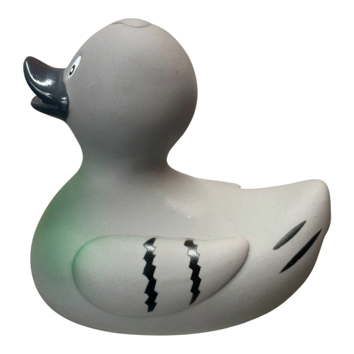 Pigeon Duck