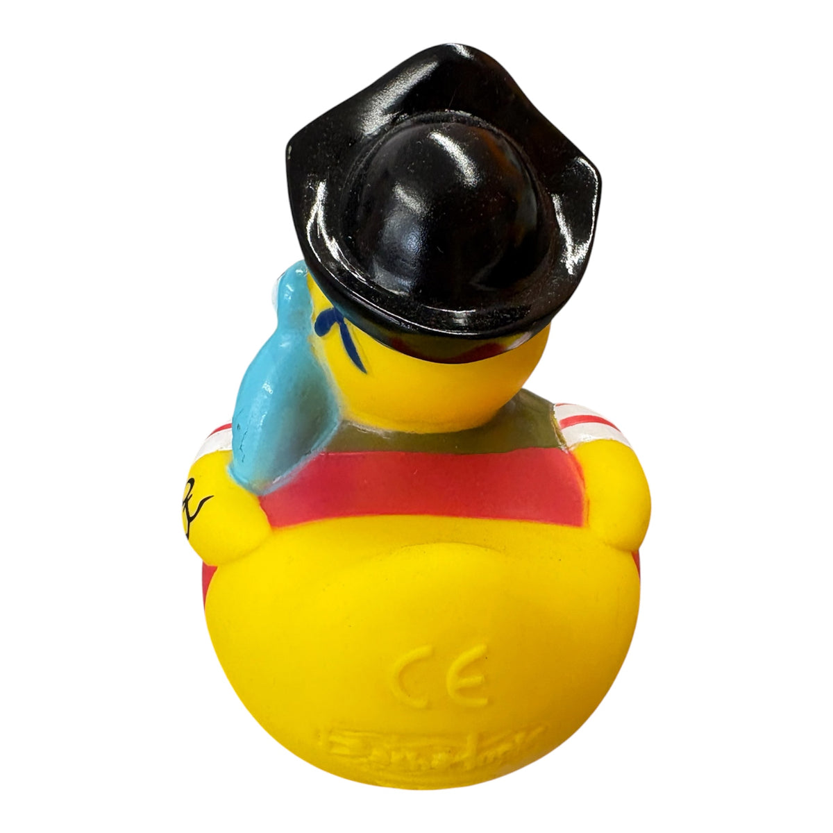 Pirate with Parrot Duck