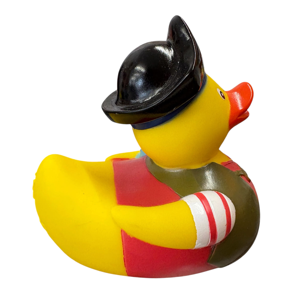 Pirate with Parrot Duck