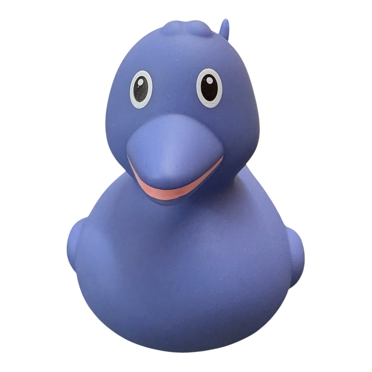 Dolphin Duck