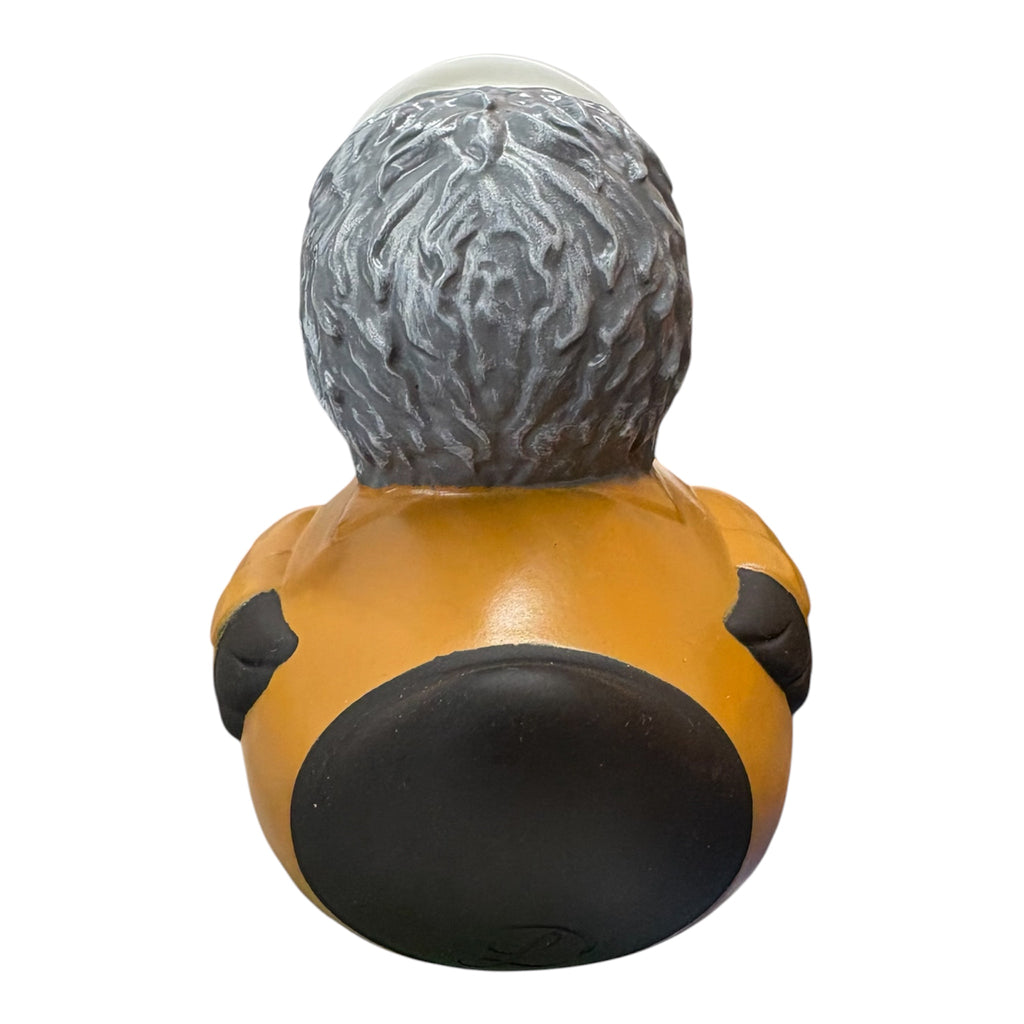 Grey Mask Duck