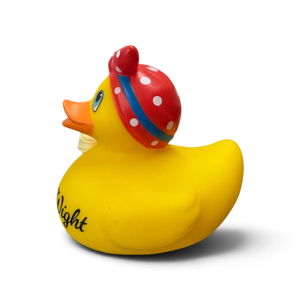 Isle of Wight Summertime Duck